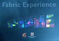 Fabric Experience: Art Installation, Performing Art, Object Art, Painting